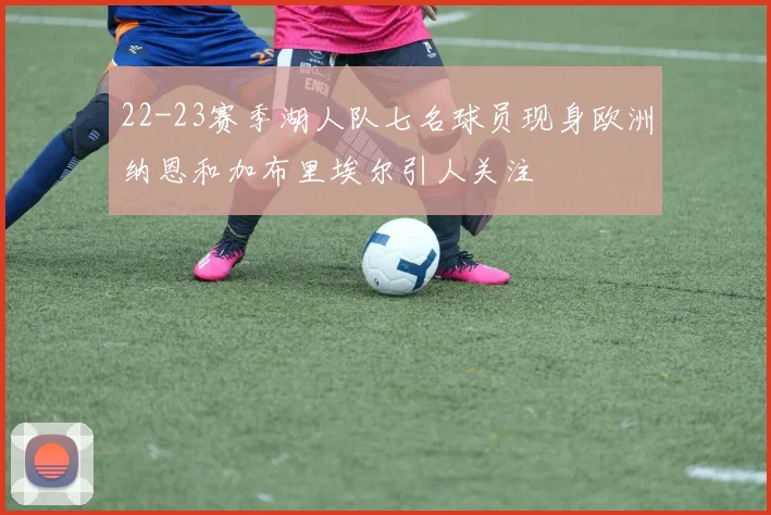 22-23赛季湖人队七名球员现身欧洲纳恩和加布里埃尔引人关注