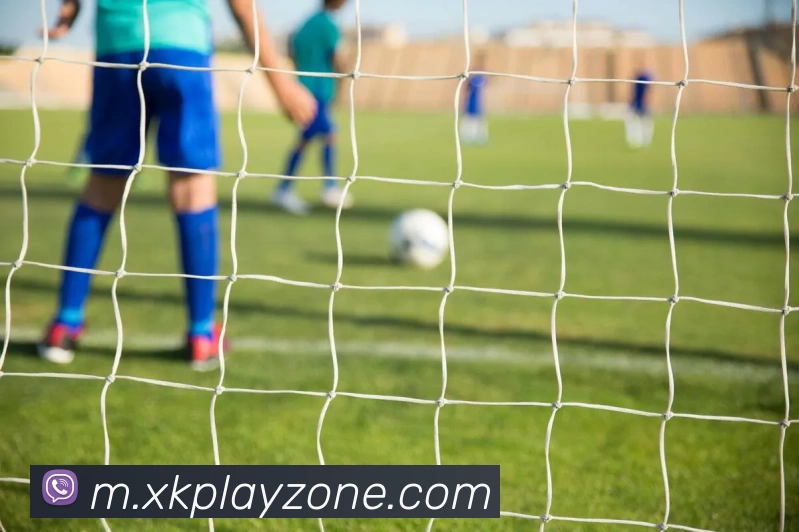 多媒体互动体验